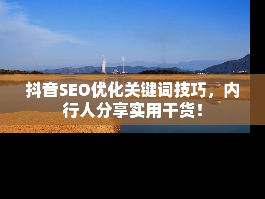 抖音SEO优化关键词技巧，内行人分享实用干货！
