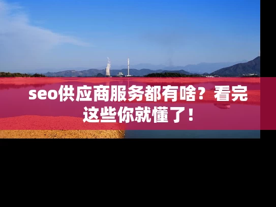 seo供应商服务都有啥？看完这些你就懂了！