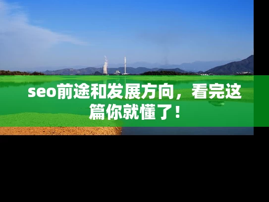 seo前途和发展方向，看完这篇你就懂了！