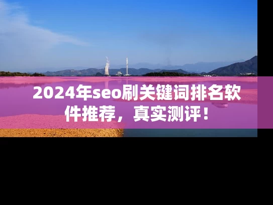 2024年seo刷关键词排名软件推荐，真实测评！