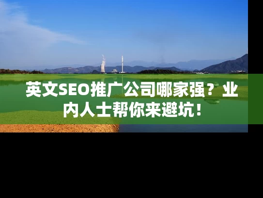 英文SEO推广公司哪家强？业内人士帮你来避坑！