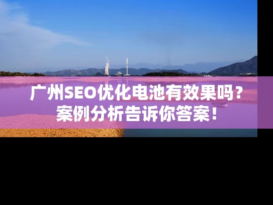 广州SEO优化电池有效果吗？案例分析告诉你答案！