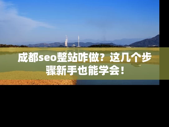 成都seo整站咋做？这几个步骤新手也能学会！