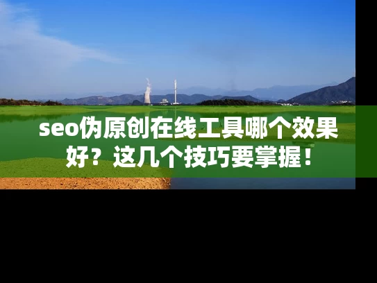 seo伪原创在线工具哪个效果好？这几个技巧要掌握！