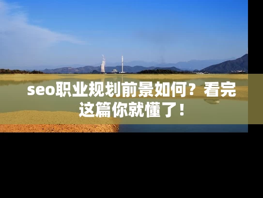 seo职业规划前景如何？看完这篇你就懂了！