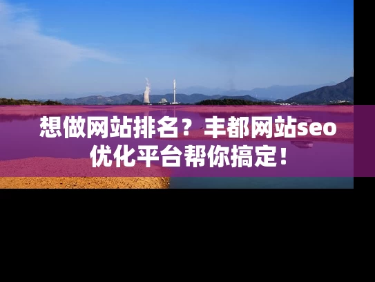 想做网站排名？丰都网站seo优化平台帮你搞定！
