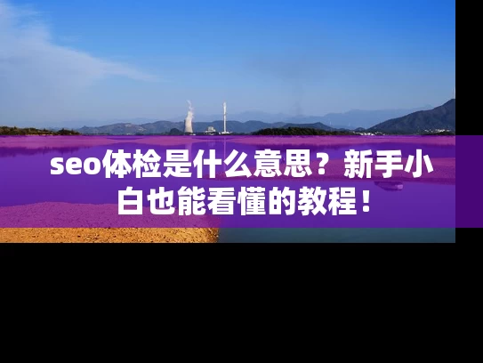 seo体检是什么意思？新手小白也能看懂的教程！