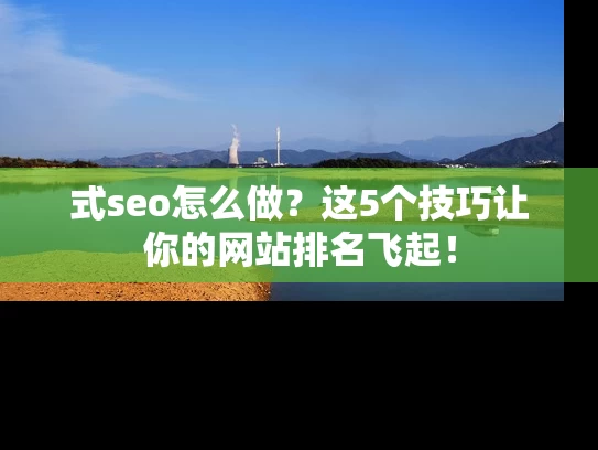 式seo怎么做？这5个技巧让你的网站排名飞起！