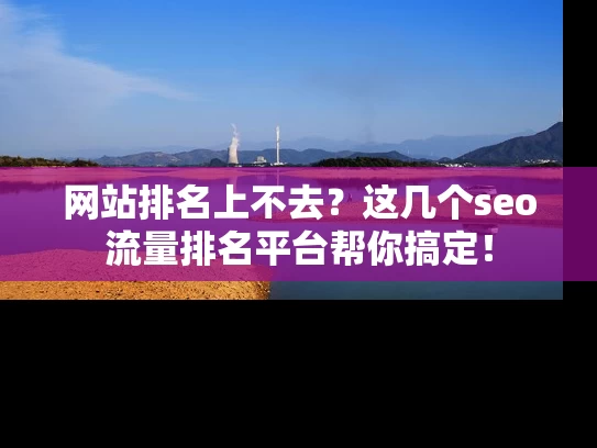 网站排名上不去？这几个seo流量排名平台帮你搞定！