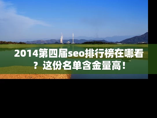 2014第四届seo排行榜在哪看？这份名单含金量高！
