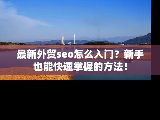 最新外贸seo怎么入门？新手也能快速掌握的方法！