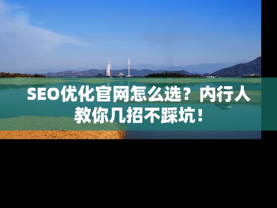 SEO优化官网怎么选？内行人教你几招不踩坑！
