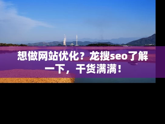 想做网站优化？龙搜seo了解一下，干货满满！
