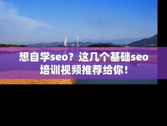 想自学seo？这几个基础seo培训视频推荐给你！