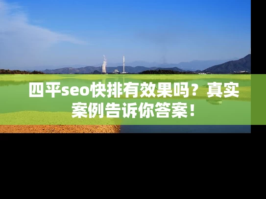 四平seo快排有效果吗？真实案例告诉你答案！
