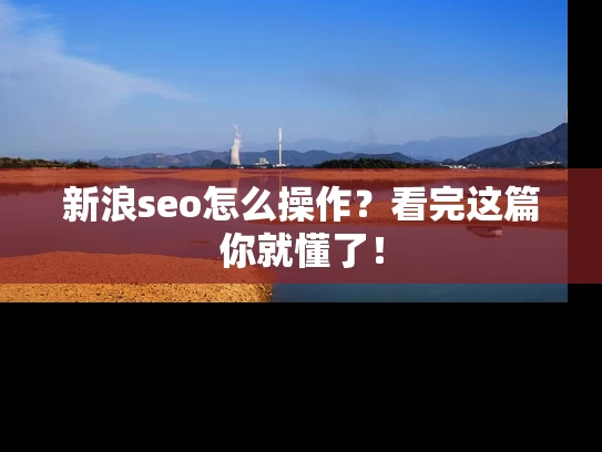 新浪seo怎么操作？看完这篇你就懂了！