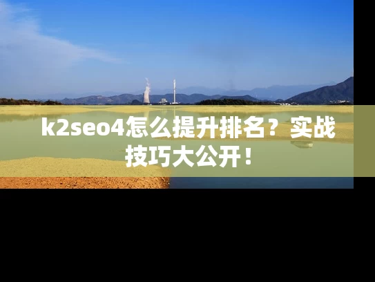k2seo4怎么提升排名？实战技巧大公开！