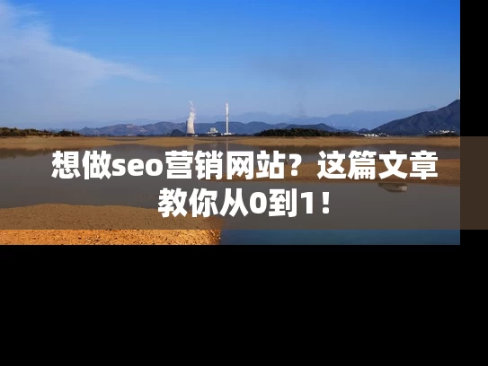 想做seo营销网站？这篇文章教你从0到1！