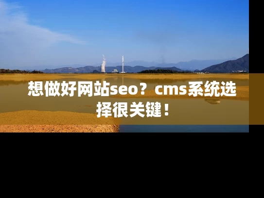 想做好网站seo？cms系统选择很关键！
