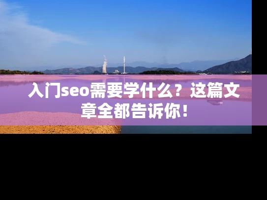 入门seo需要学什么？这篇文章全都告诉你！
