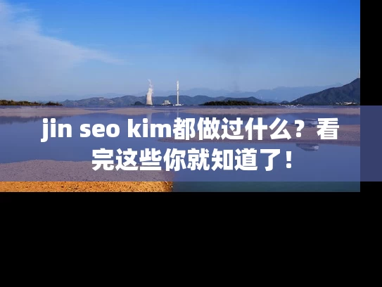 jin seo kim都做过什么？看完这些你就知道了！