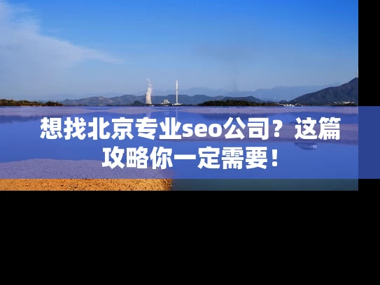 想找北京专业seo公司？这篇攻略你一定需要！
