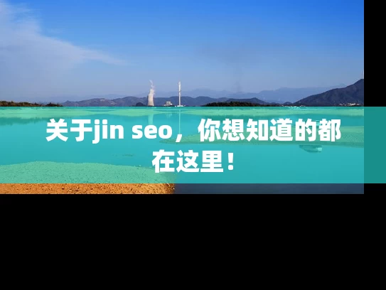 关于jin seo，你想知道的都在这里！