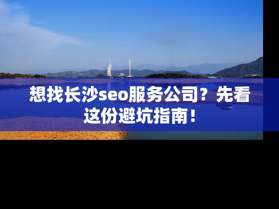 想找长沙seo服务公司？先看这份避坑指南！