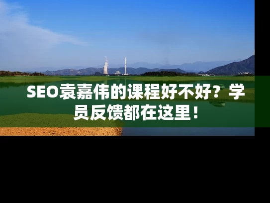 SEO袁嘉伟的课程好不好？学员反馈都在这里！