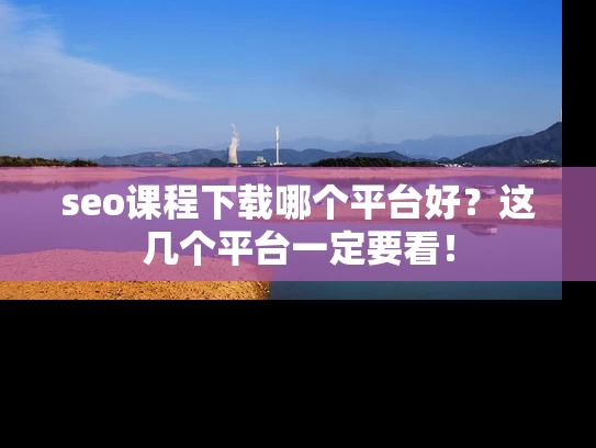seo课程下载哪个平台好？这几个平台一定要看！