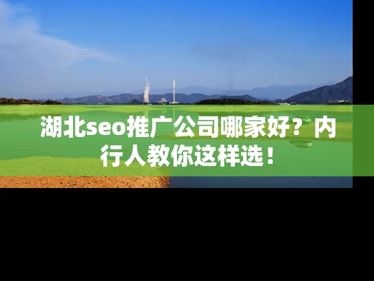 湖北seo推广公司哪家好？内行人教你这样选！