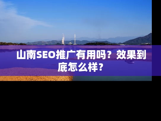山南SEO推广有用吗？效果到底怎么样？