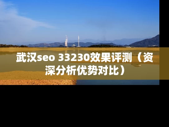武汉seo 33230效果评测（资深分析优势对比）