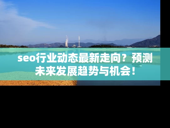 seo行业动态最新走向？预测未来发展趋势与机会！