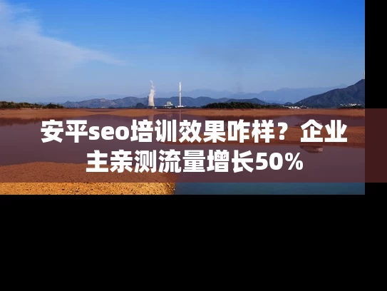 安平seo培训效果咋样？企业主亲测流量增长50%