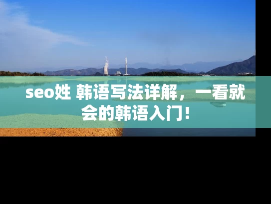 seo姓 韩语写法详解，一看就会的韩语入门！
