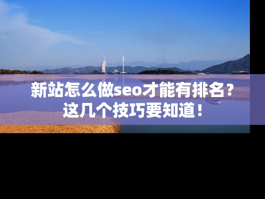 新站怎么做seo才能有排名？这几个技巧要知道！