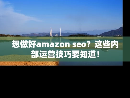 想做好amazon seo？这些内部运营技巧要知道！