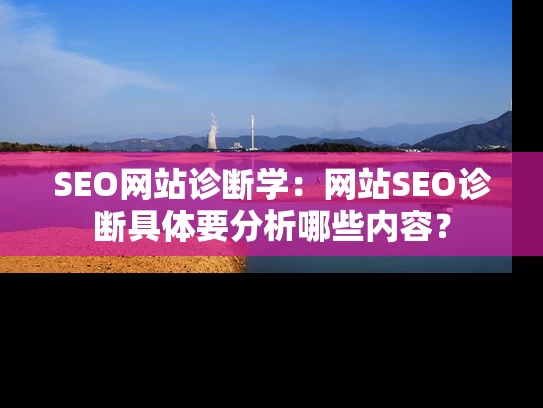 SEO网站诊断学：网站SEO诊断具体要分析哪些内容？