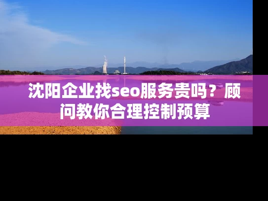 沈阳企业找seo服务贵吗？顾问教你合理控制预算