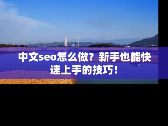 中文seo怎么做？新手也能快速上手的技巧！