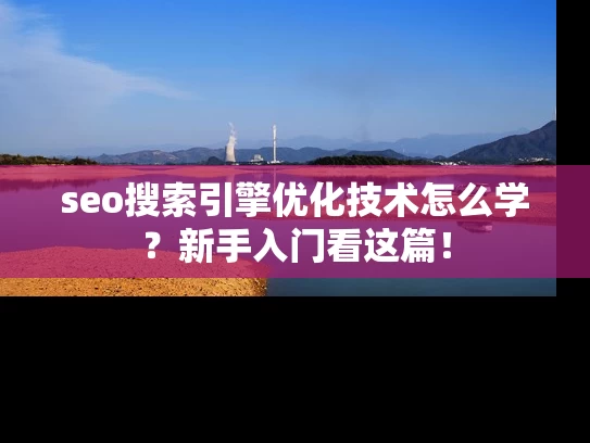 seo搜索引擎优化技术怎么学？新手入门看这篇！