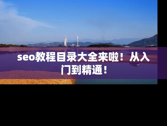 seo教程目录大全来啦！从入门到精通！