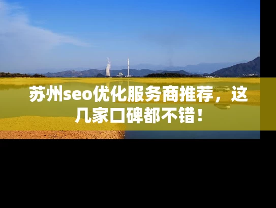 苏州seo优化服务商推荐，这几家口碑都不错！