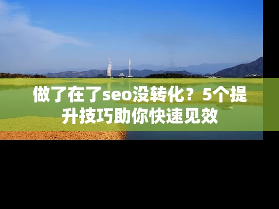 做了在了seo没转化？5个提升技巧助你快速见效