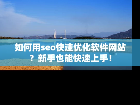 如何用seo快速优化软件网站？新手也能快速上手！