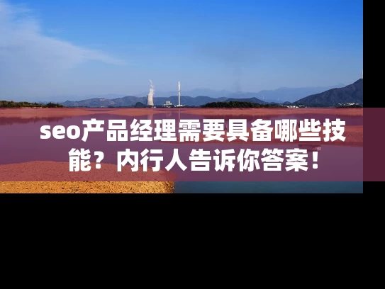 seo产品经理需要具备哪些技能？内行人告诉你答案！