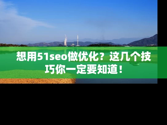 想用51seo做优化？这几个技巧你一定要知道！