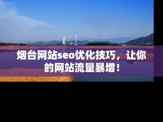烟台网站seo优化技巧，让你的网站流量暴增！