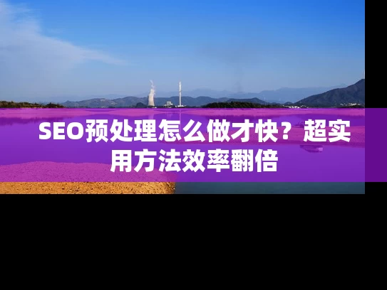SEO预处理怎么做才快？超实用方法效率翻倍
